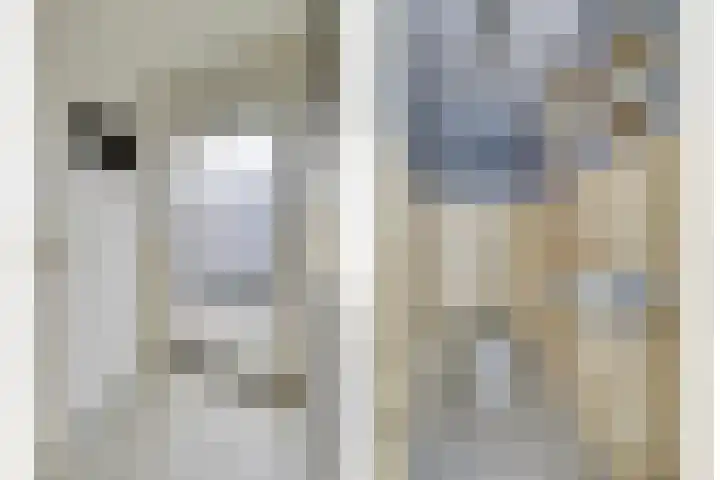 Nieuwstraat 85 Vught thumbnail 8