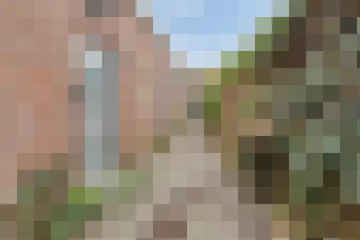 Nieuwstraat 85 Vught thumbnail 9