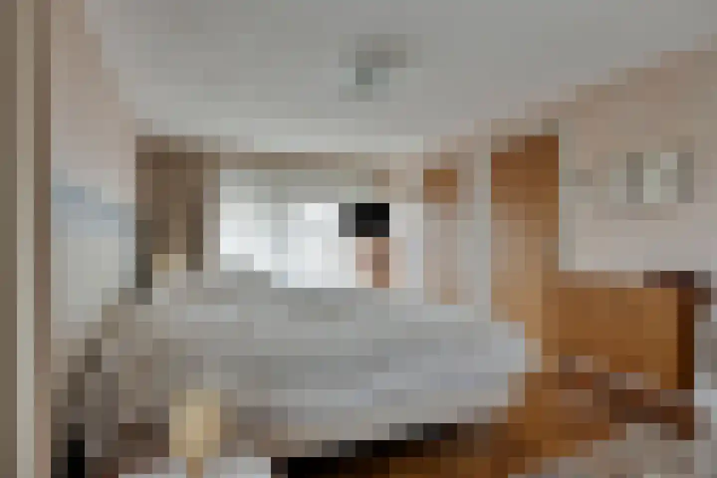 Nieuwstraat 86 Best thumbnail 28
