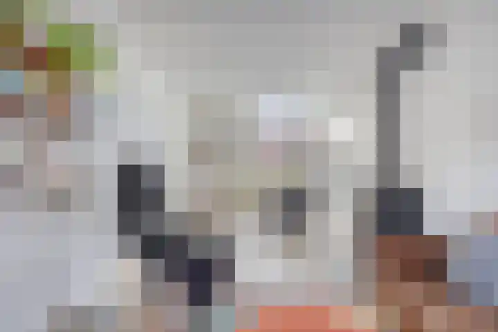 Nieuwstraat 86 Tilburg thumbnail 6