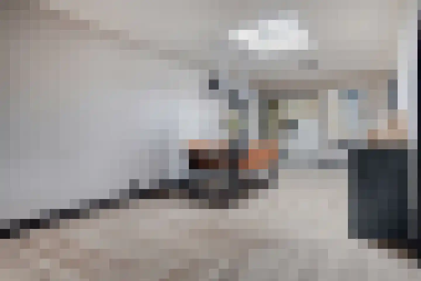 Nieuwstraat 87 Koewacht thumbnail 13