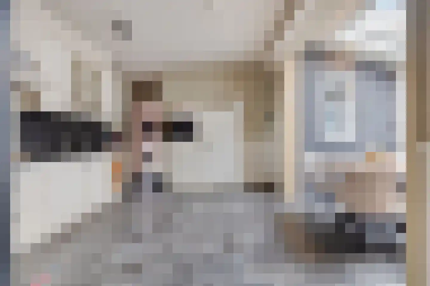 Nieuwstraat 87 Koewacht thumbnail 19