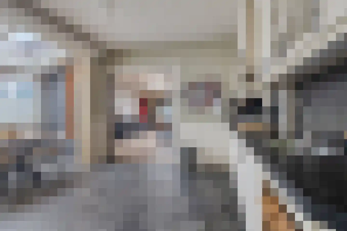 Nieuwstraat 87 Koewacht thumbnail 21