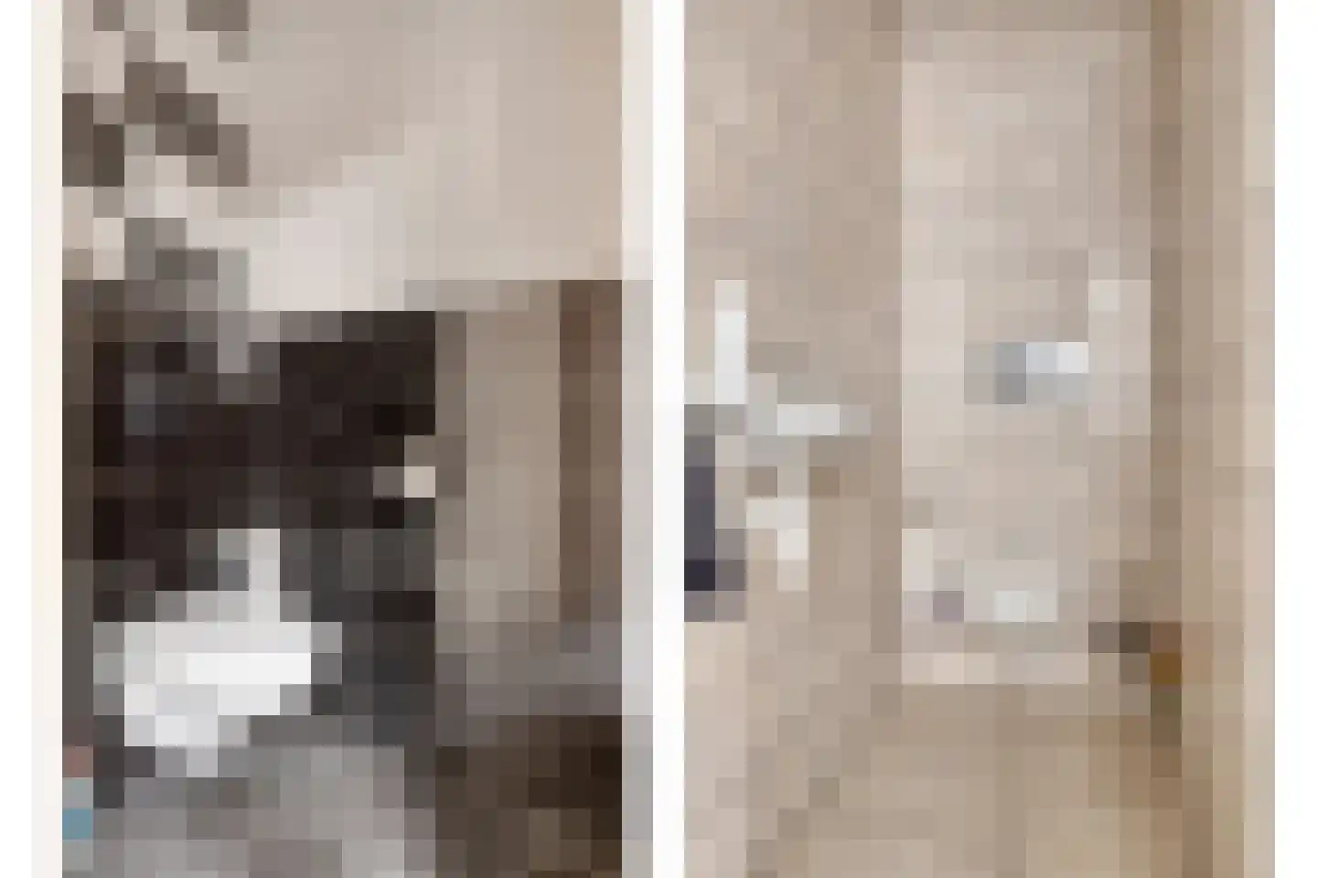 Nieuwstraat 87 Koewacht thumbnail 24