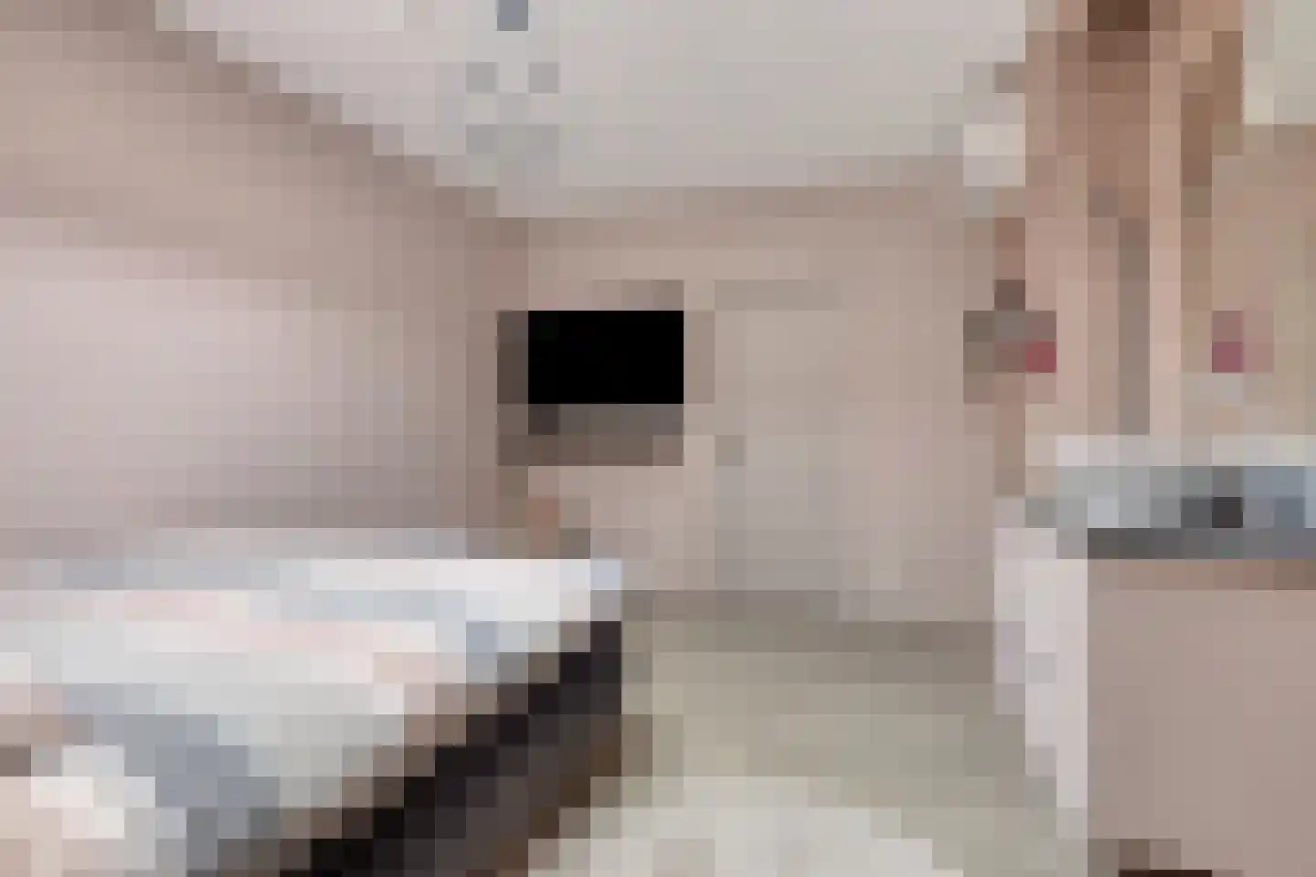 Nieuwstraat 87 Koewacht thumbnail 27