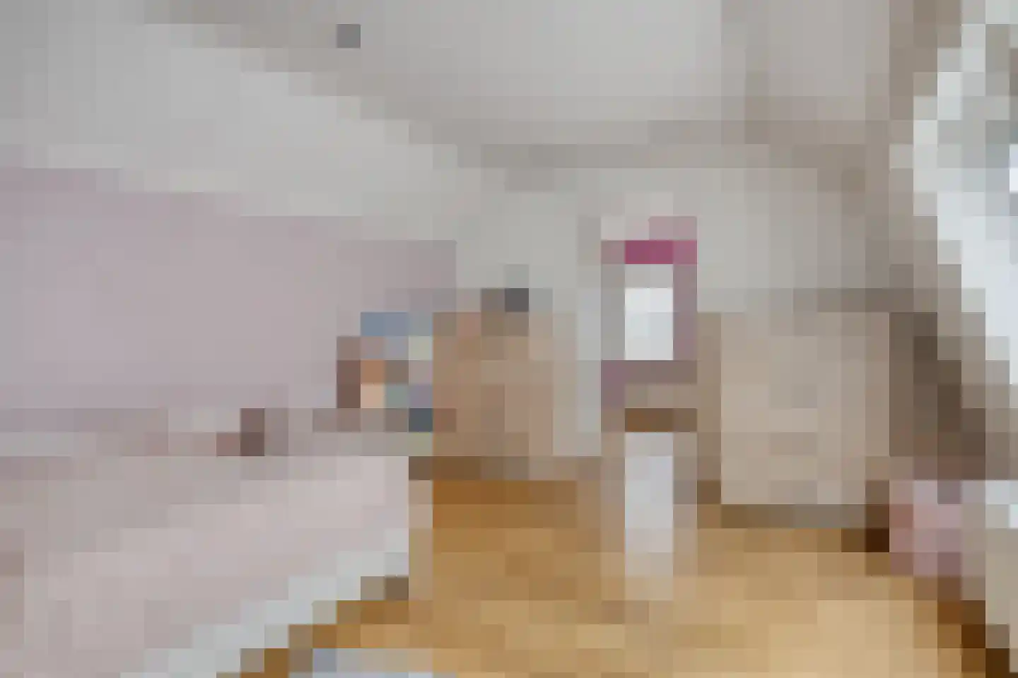 Nieuwstraat 87 Koewacht thumbnail 31
