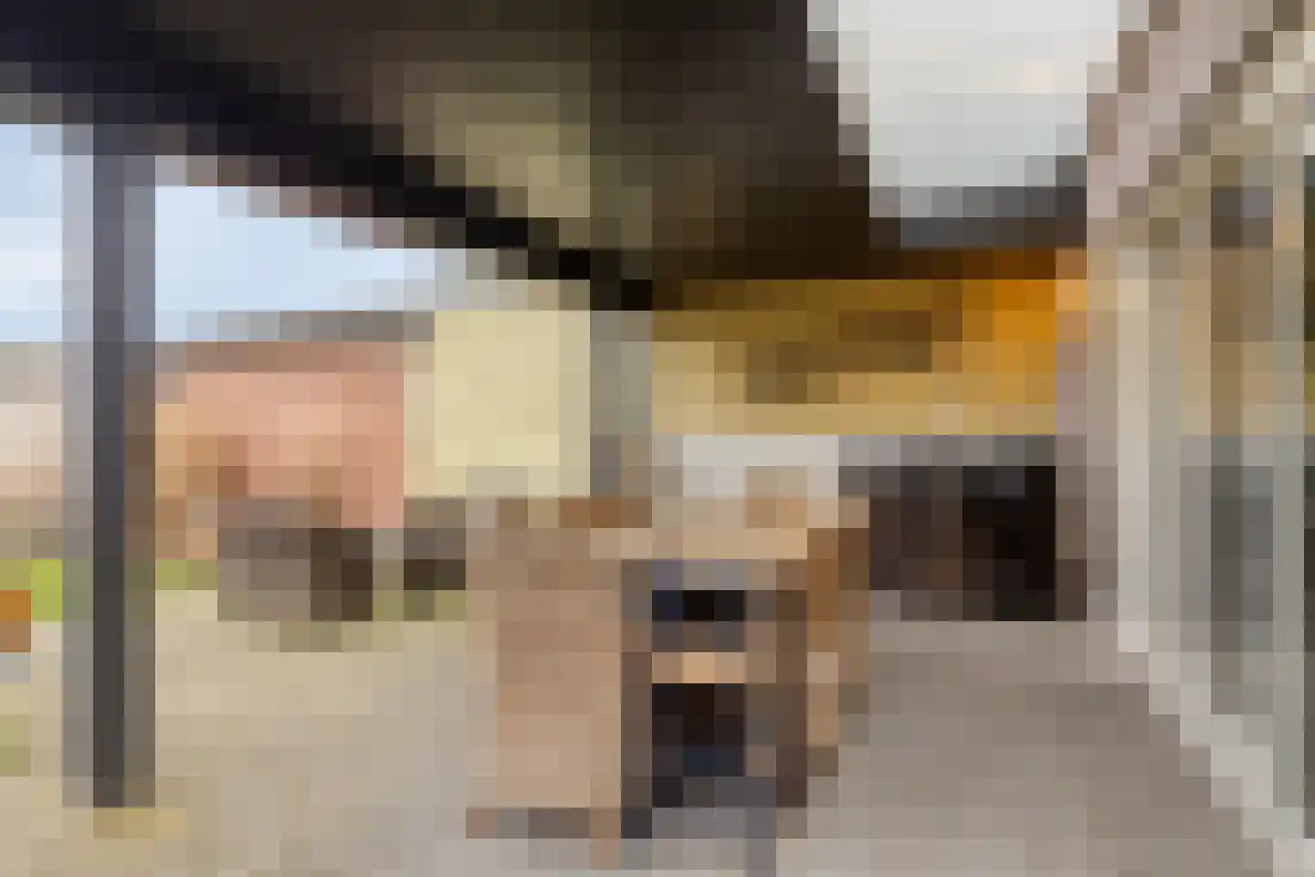 Nieuwstraat 87 Koewacht thumbnail 38
