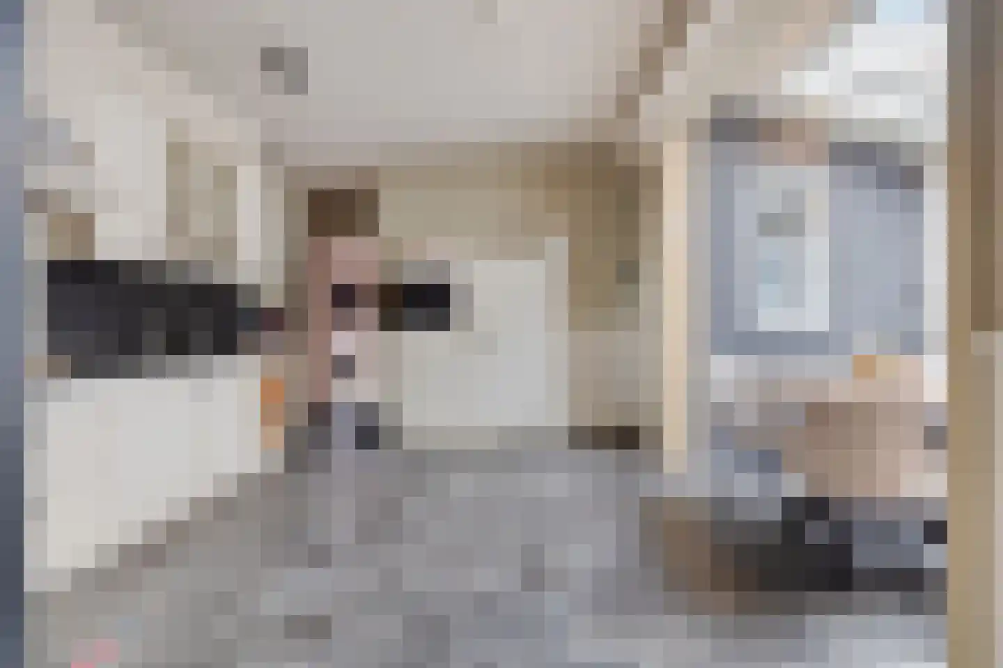 Nieuwstraat 87 Koewacht thumbnail 4