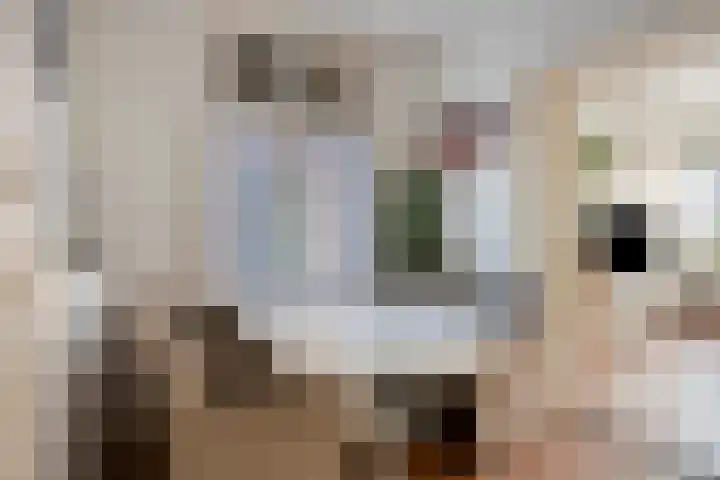 Nieuwstraat 88 Made thumbnail 10