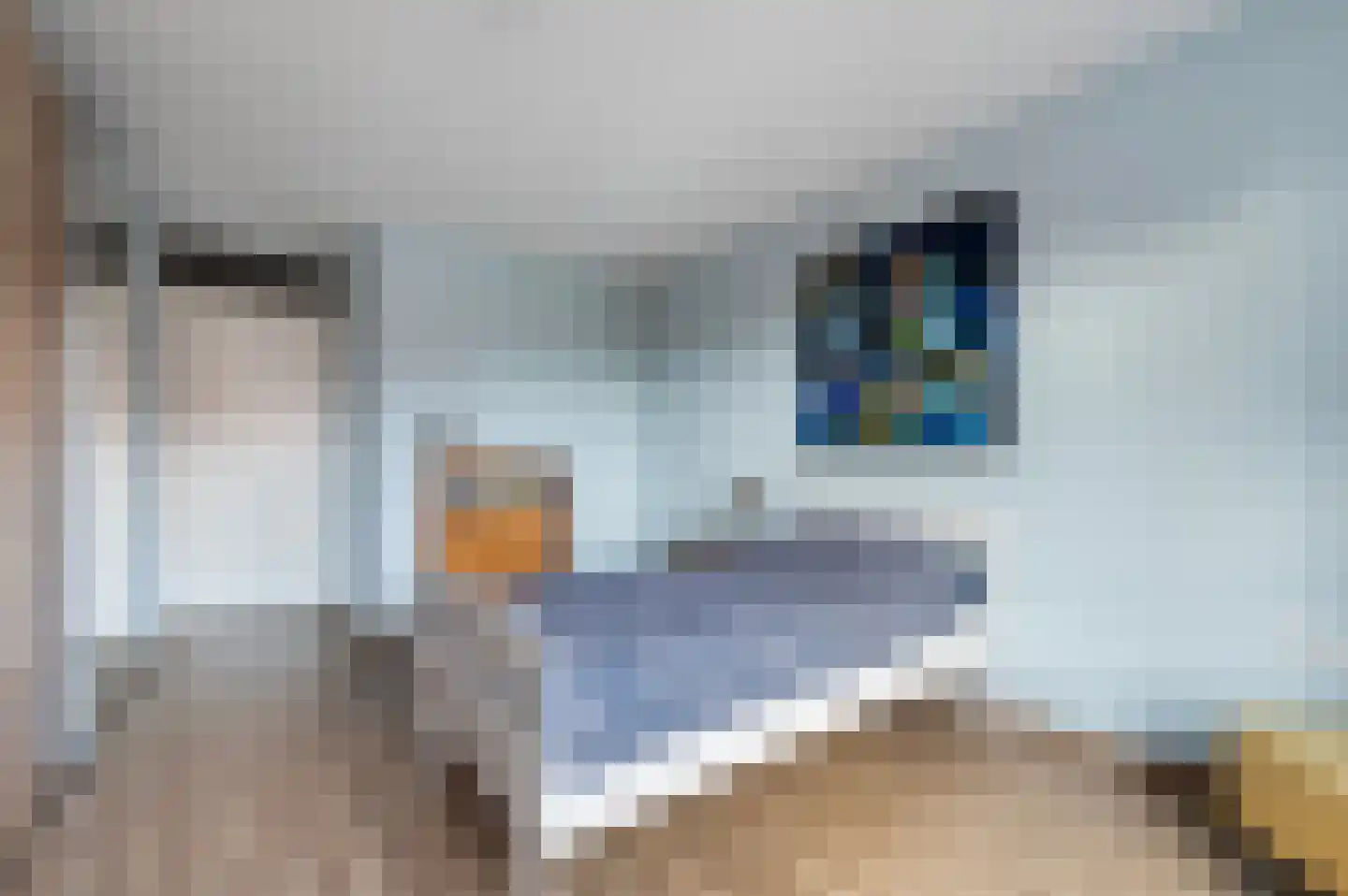 Nieuwstraat 89 Eibergen thumbnail 18