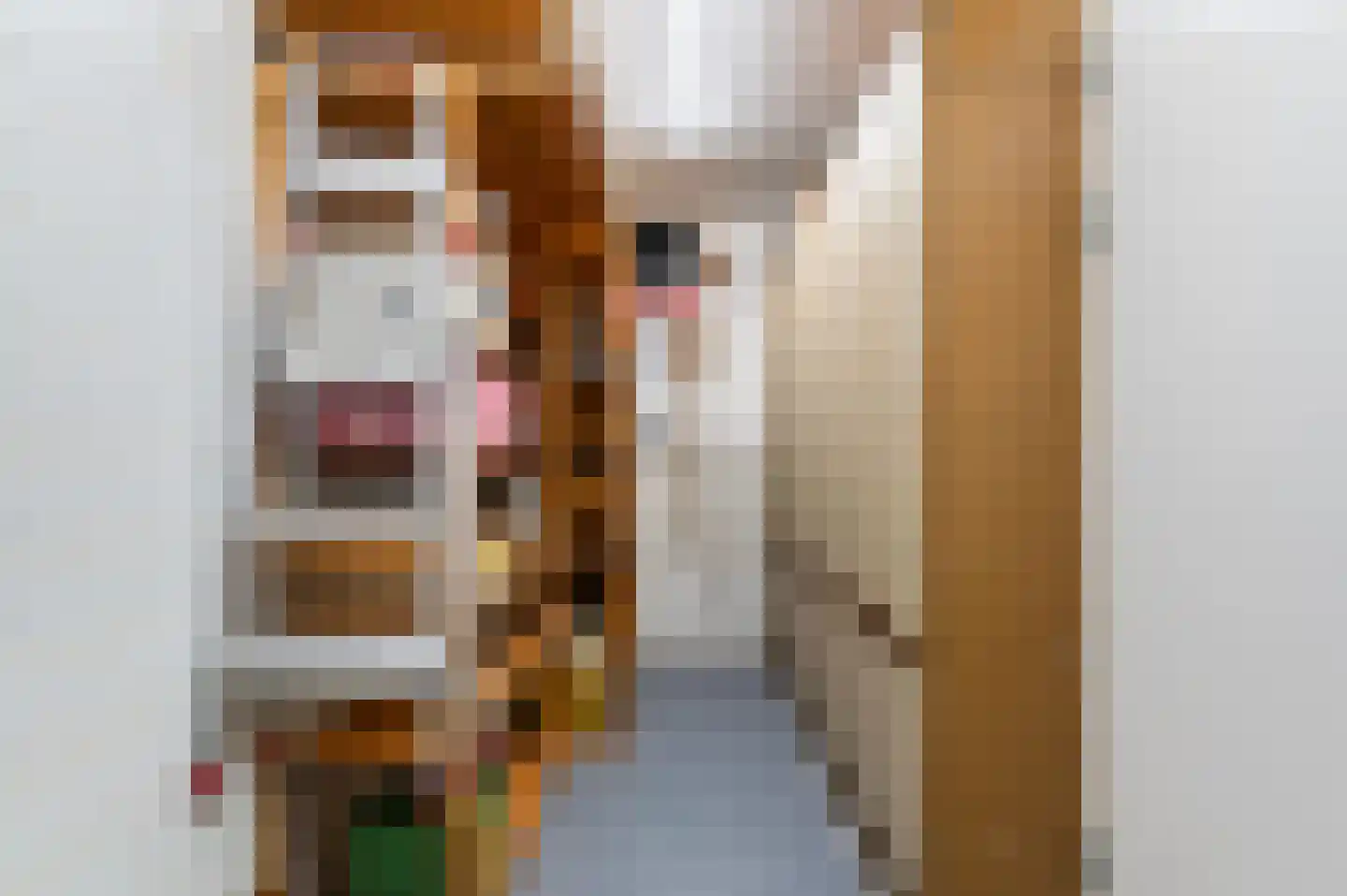 Nieuwstraat 89 Eibergen thumbnail 29