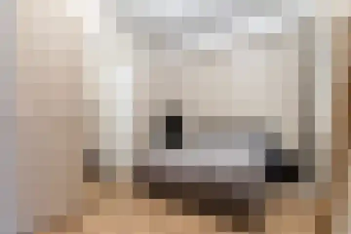 Nieuwstraat 9 A Apeldoorn thumbnail 12