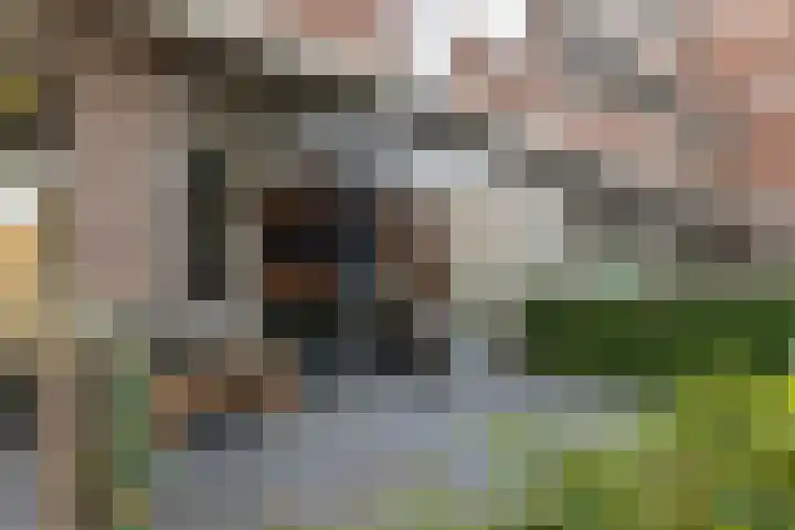 Nieuwstraat 9 A Apeldoorn thumbnail 15
