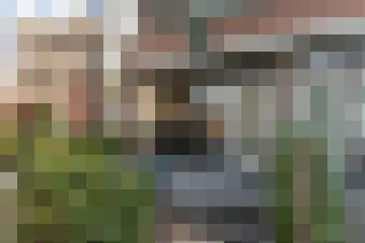 Nieuwstraat 9 A Apeldoorn thumbnail 16