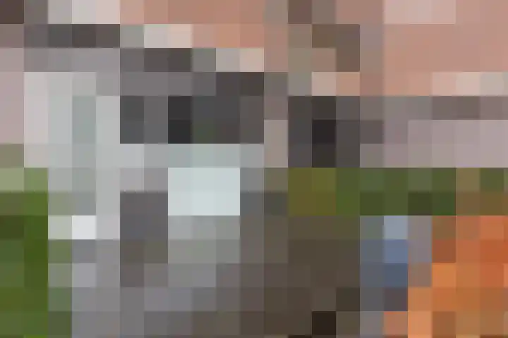 Nieuwstraat 9 B Apeldoorn thumbnail 14