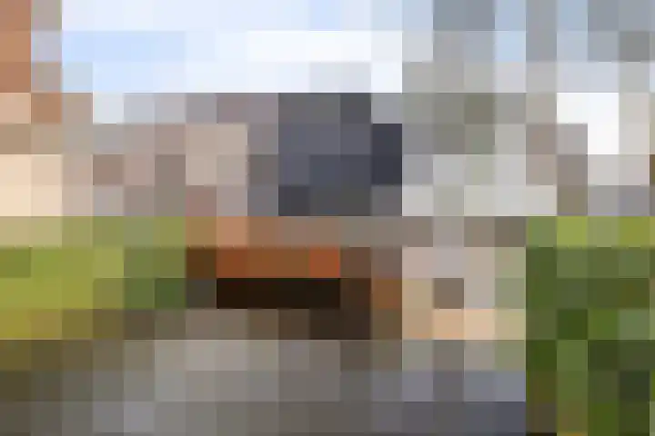 Nieuwstraat 9 B Apeldoorn thumbnail 15