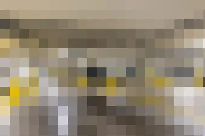Nieuwstraat 9 B Apeldoorn thumbnail 17