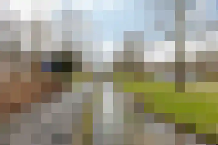 Nieuwstraat 9 B Apeldoorn thumbnail 21