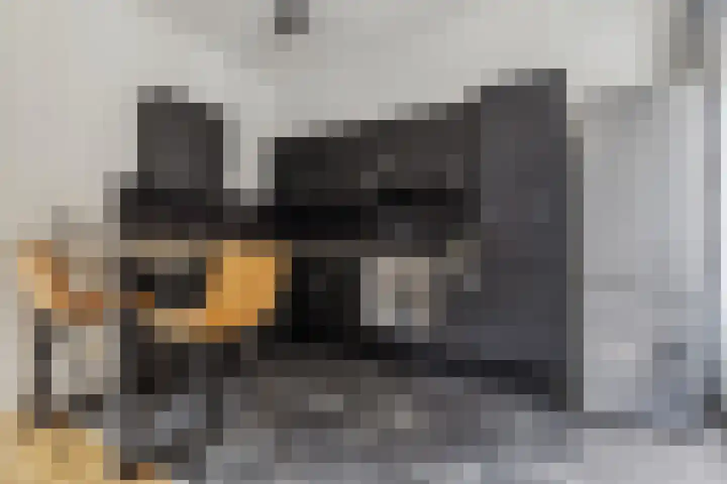 Nieuwstraat 9 B Breda thumbnail 24