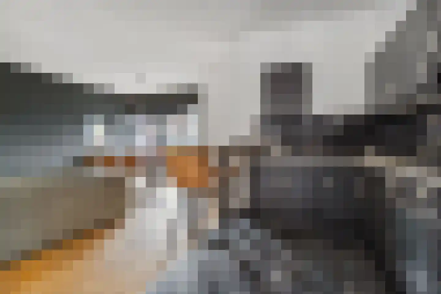 Nieuwstraat 9 B Breda thumbnail 25