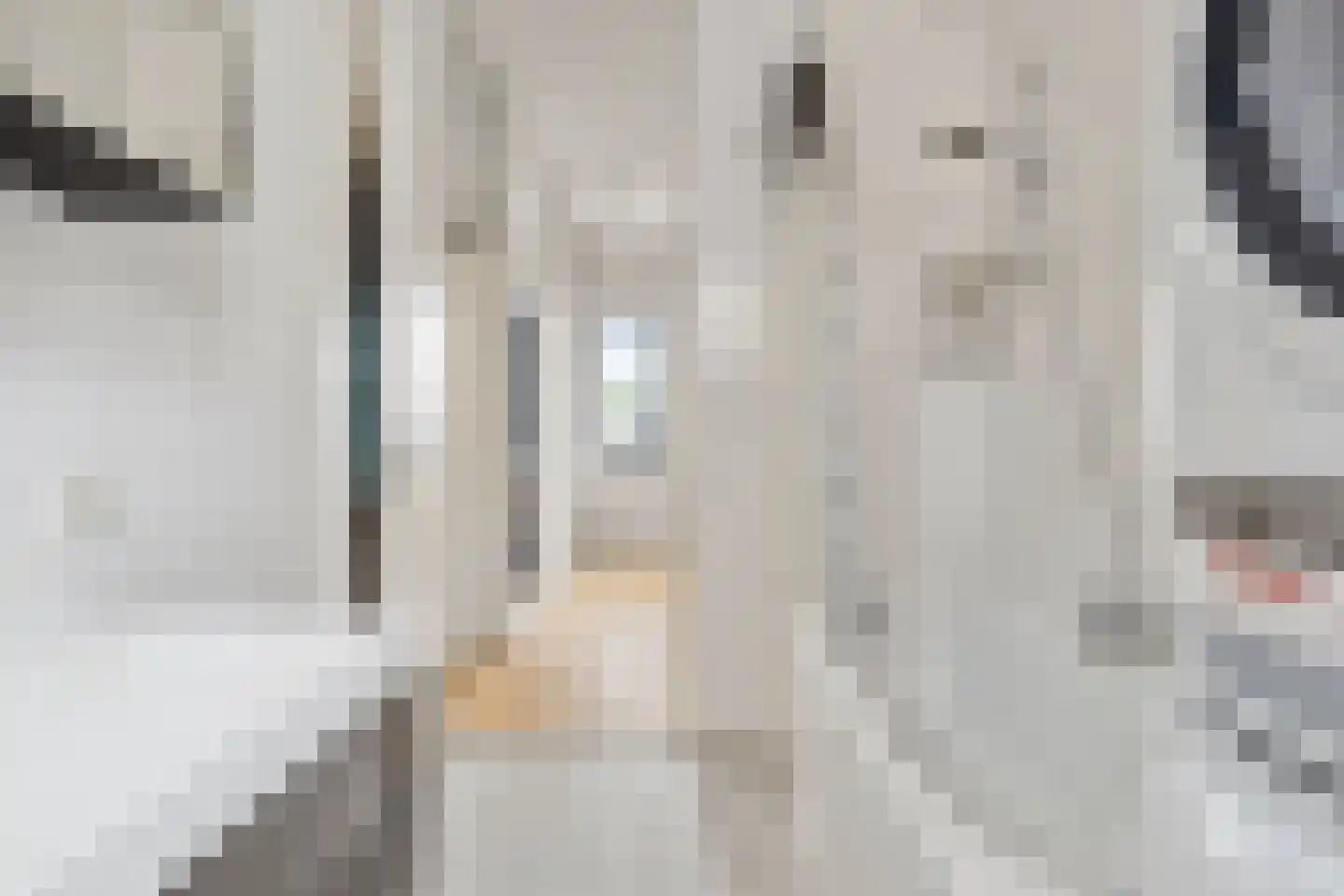 Nieuwstraat 9 B Breda thumbnail 38