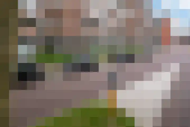 Nieuwstraat 9 C Apeldoorn thumbnail 17