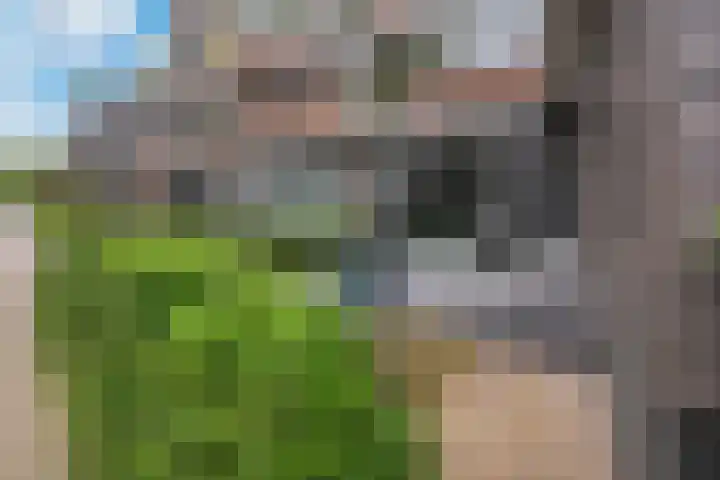 Nieuwstraat 9 C Apeldoorn thumbnail 18