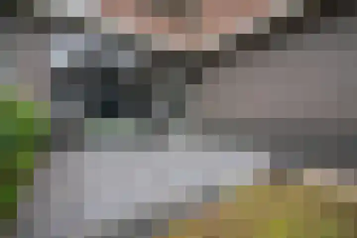 Nieuwstraat 9 C Apeldoorn thumbnail 20