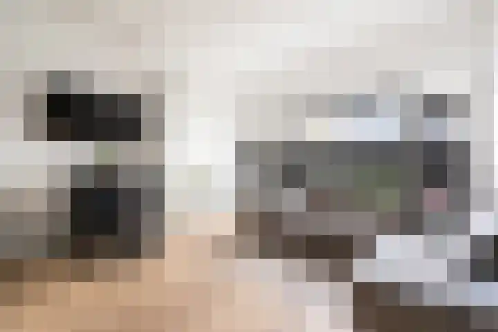 Nieuwstraat 9 C Apeldoorn thumbnail 4