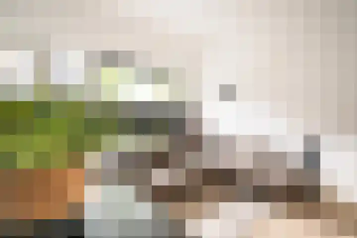 Nieuwstraat 9 C Apeldoorn thumbnail 9