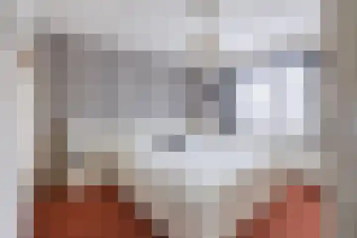 Nieuwstraat 9 Daarlerveen thumbnail 16