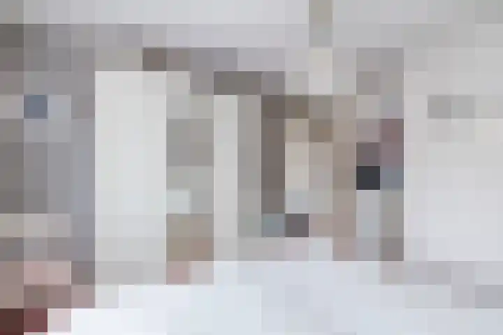 Nieuwstraat 9 Daarlerveen thumbnail 18