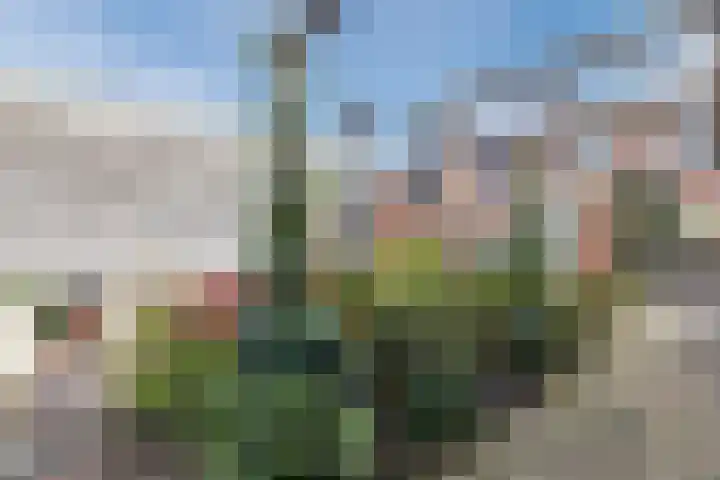 Nieuwstraat 9 Daarlerveen thumbnail 26