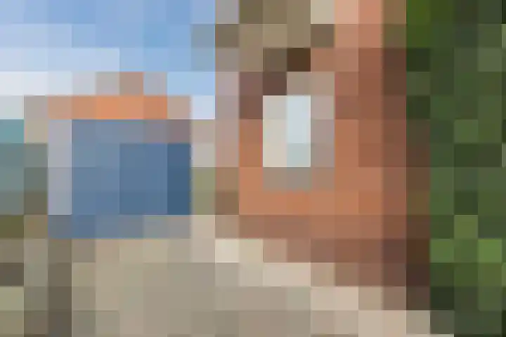 Nieuwstraat 9 Daarlerveen thumbnail 39