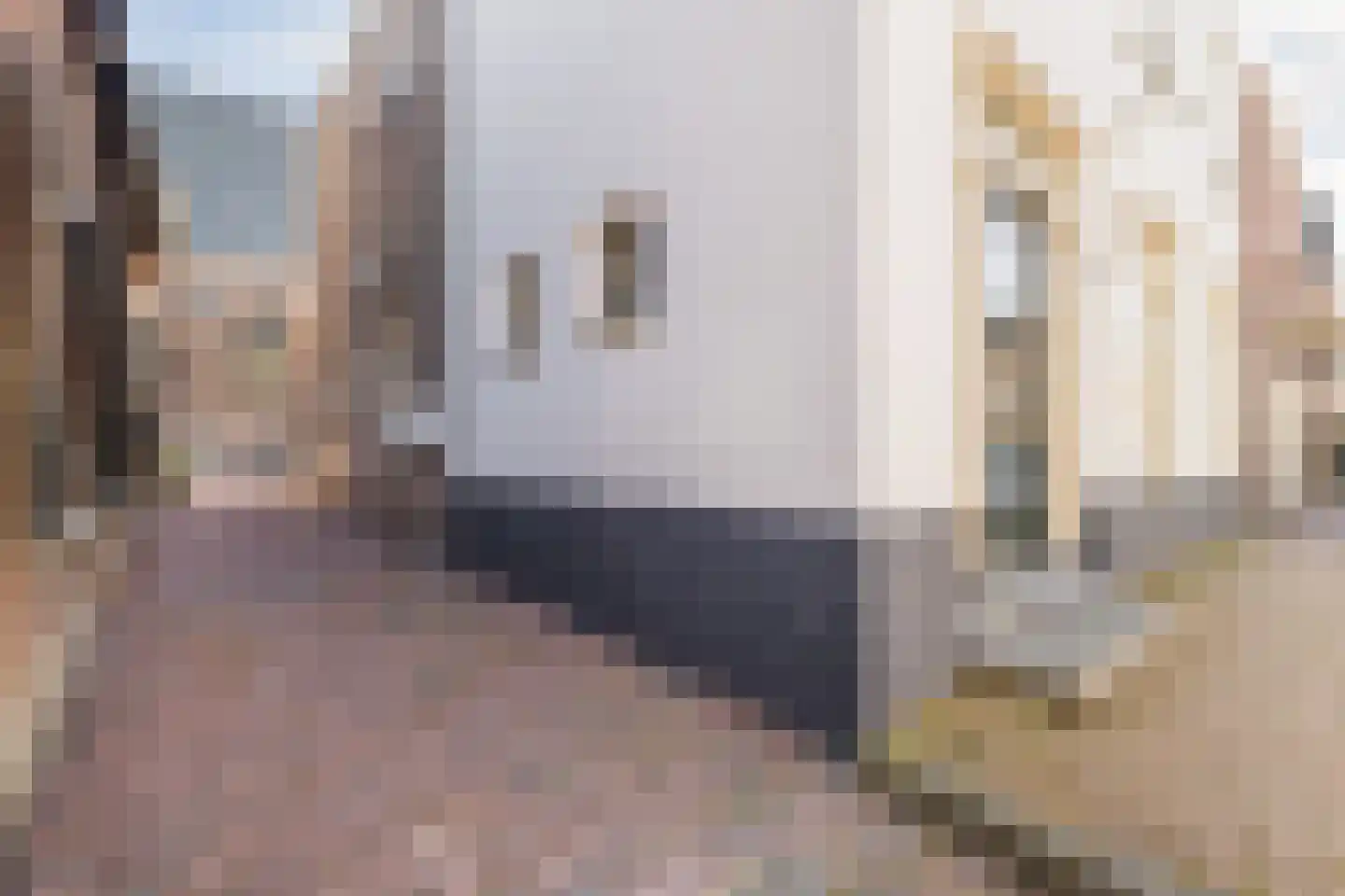 Nieuwstraat 9 Kockengen thumbnail 8