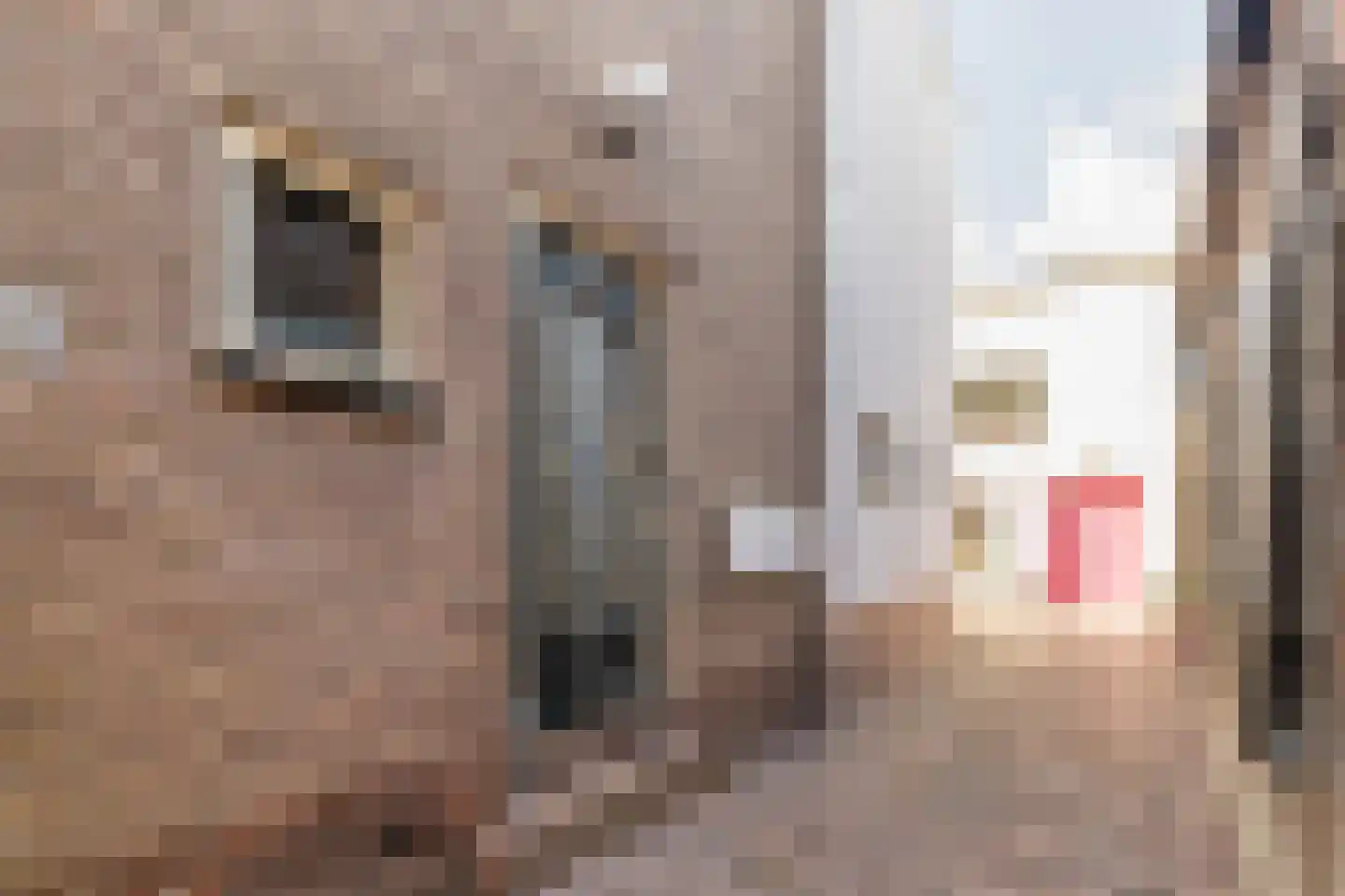 Nieuwstraat 9 Kockengen thumbnail 9