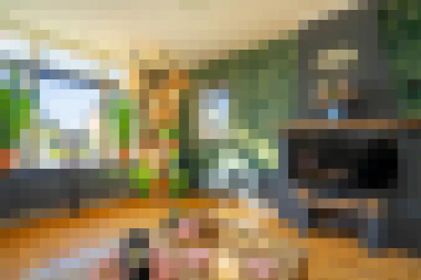 Nieuwstraat 9 Liessel thumbnail 12