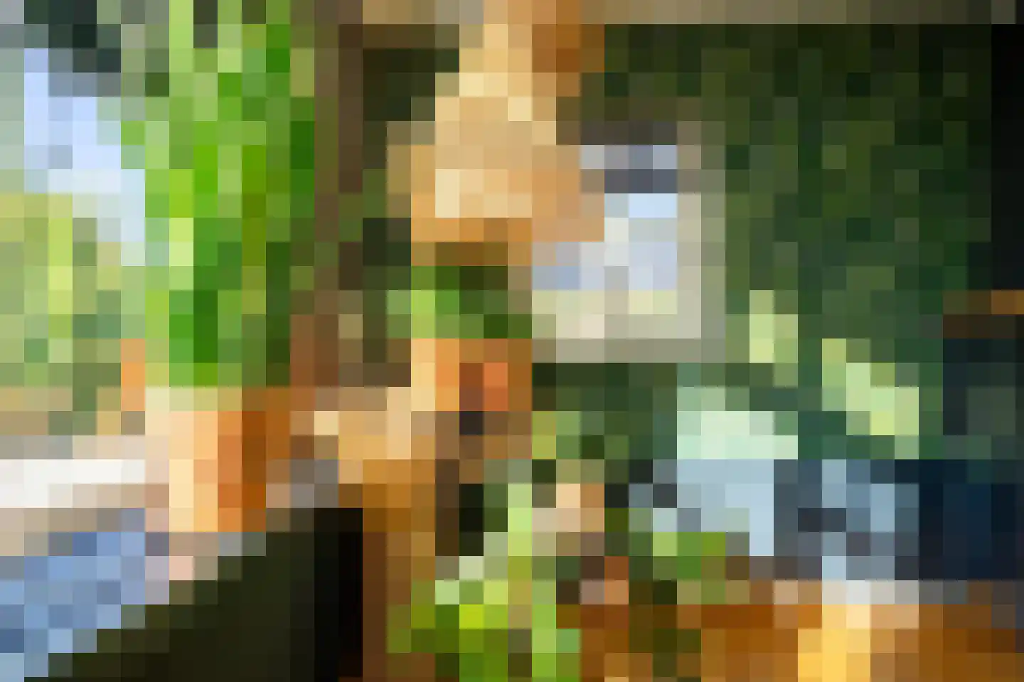 Nieuwstraat 9 Liessel thumbnail 15