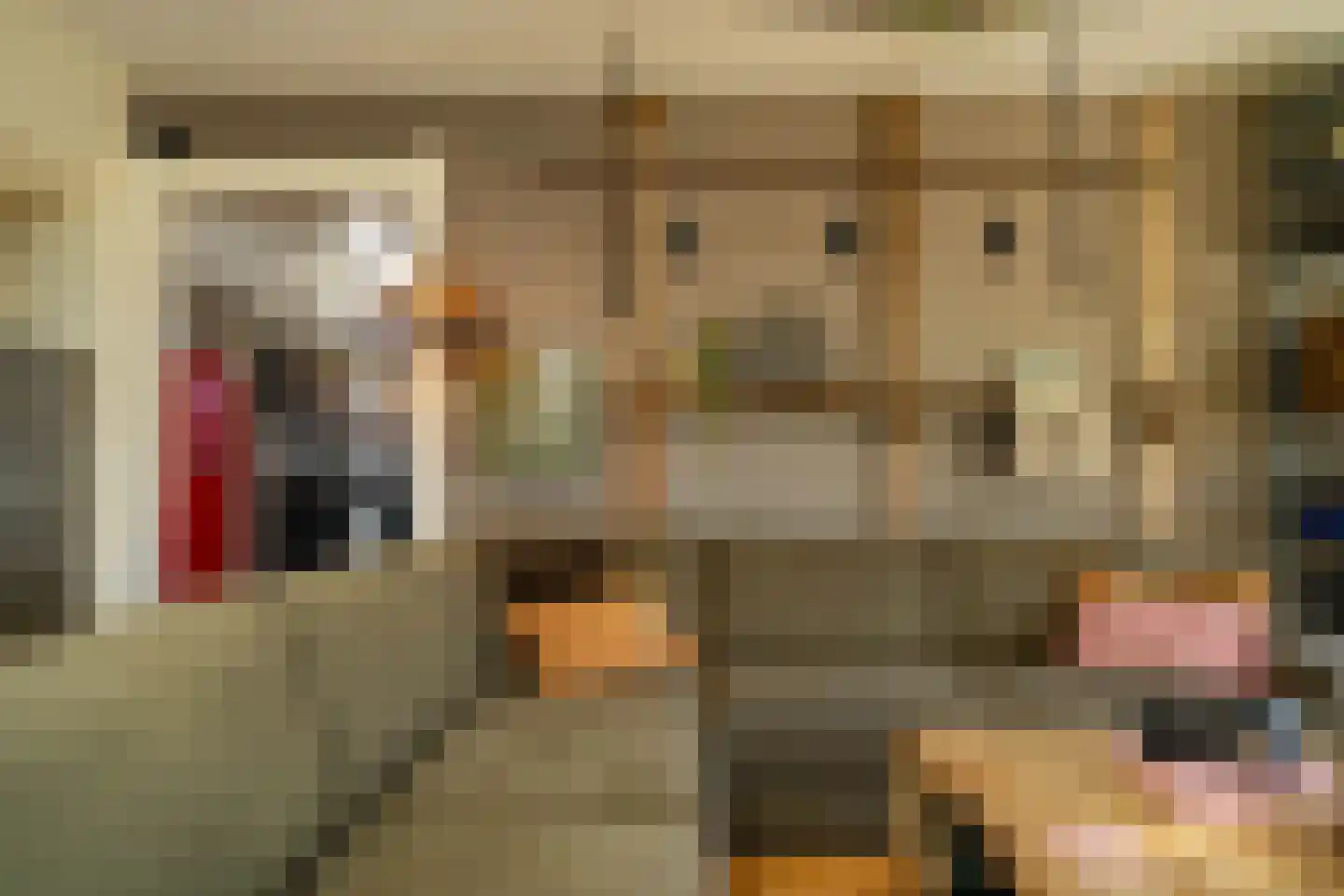 Nieuwstraat 9 Liessel thumbnail 16