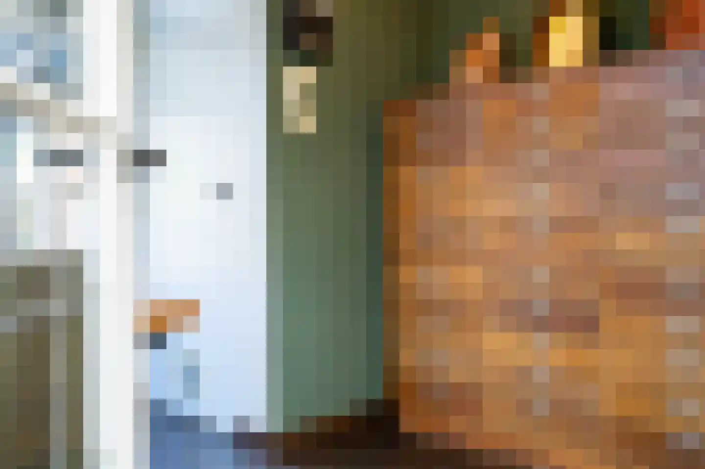 Nieuwstraat 9 Liessel thumbnail 18