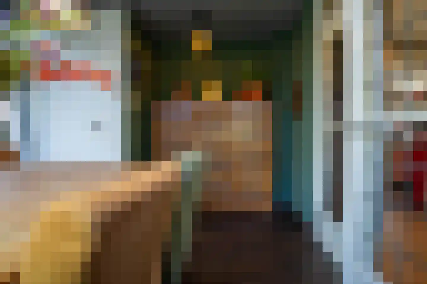 Nieuwstraat 9 Liessel thumbnail 20
