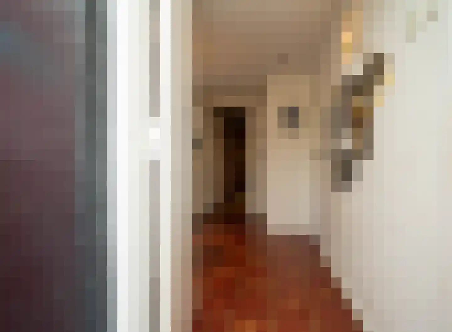 Nieuwstraat 9 Liessel thumbnail 22