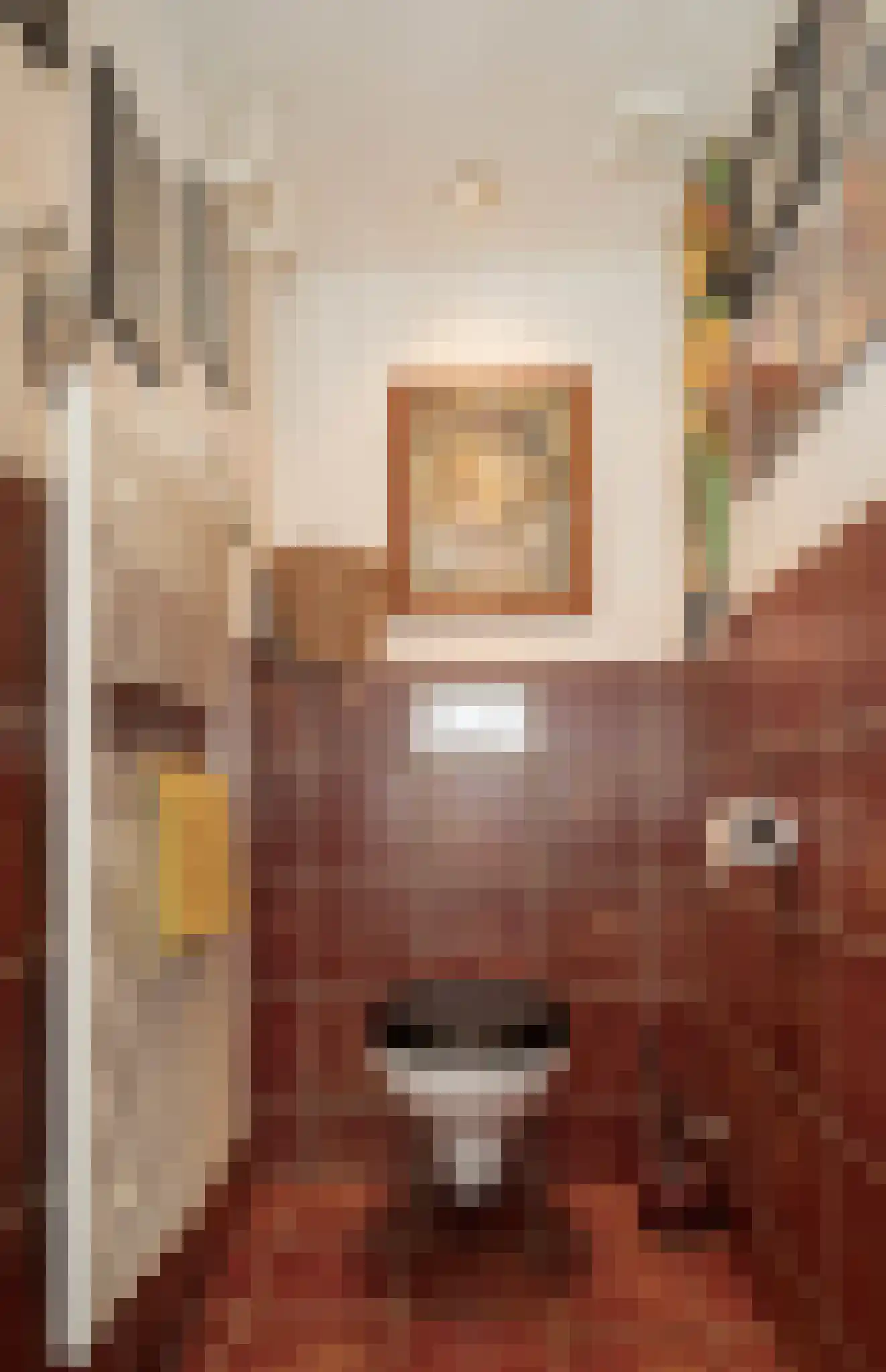 Nieuwstraat 9 Liessel thumbnail 24