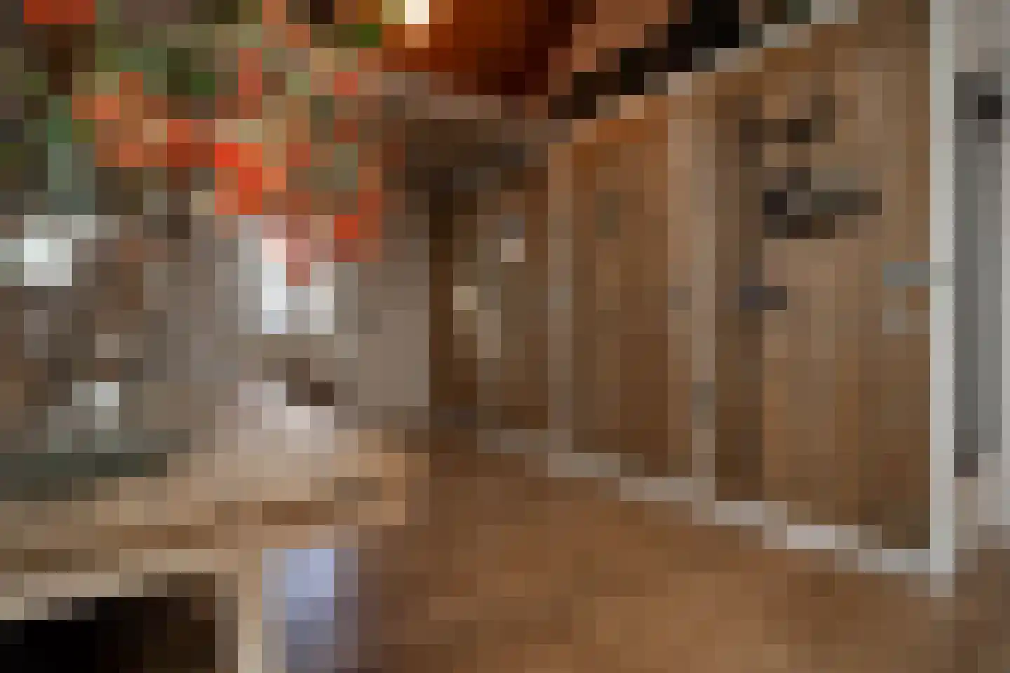 Nieuwstraat 9 Liessel thumbnail 27
