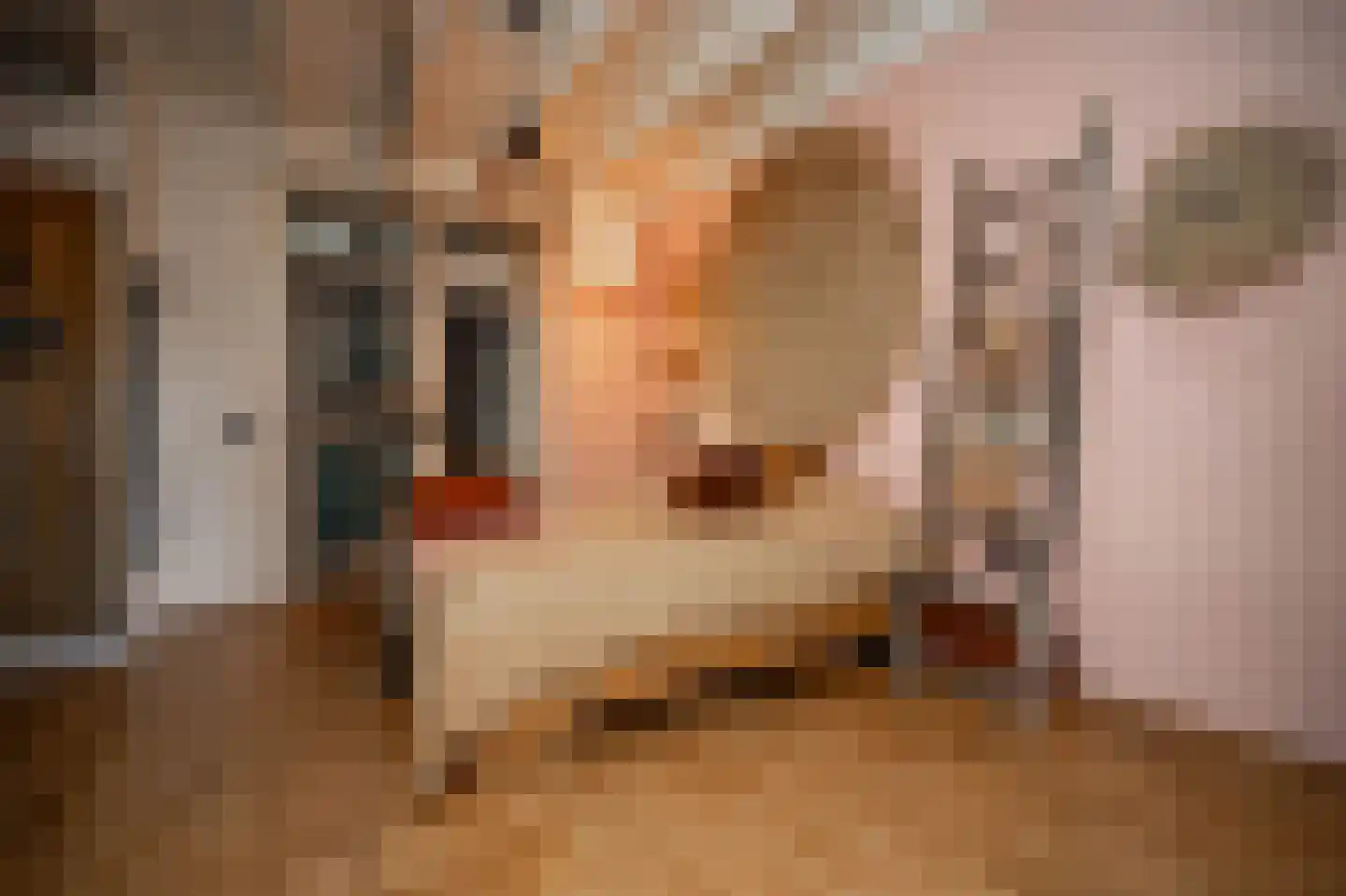 Nieuwstraat 9 Liessel thumbnail 28