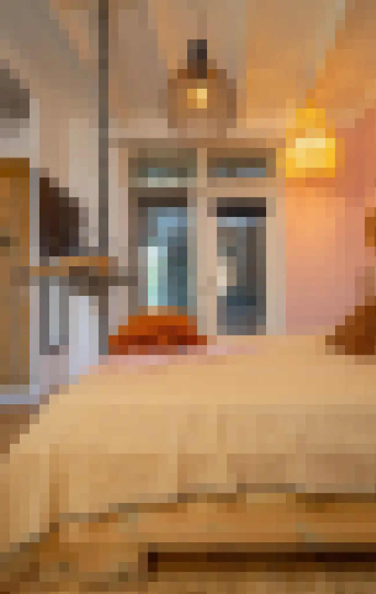 Nieuwstraat 9 Liessel thumbnail 29