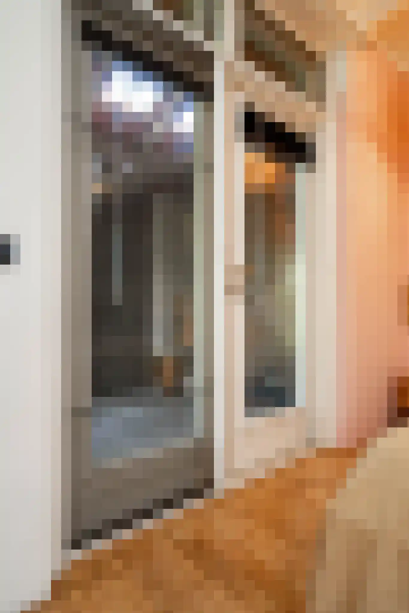 Nieuwstraat 9 Liessel thumbnail 30