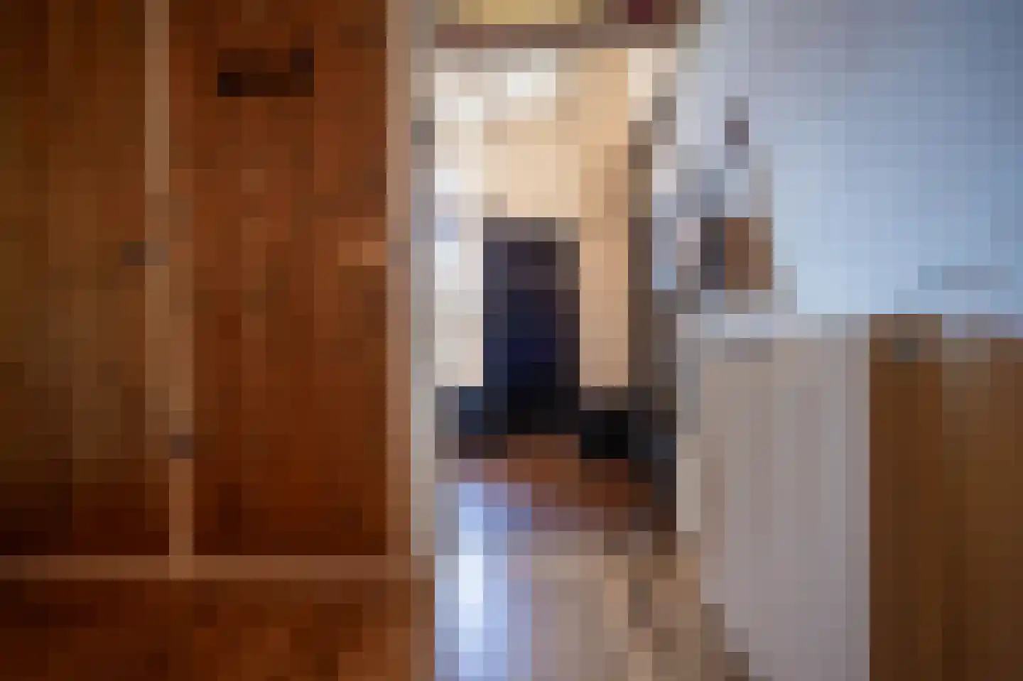 Nieuwstraat 9 Liessel thumbnail 32