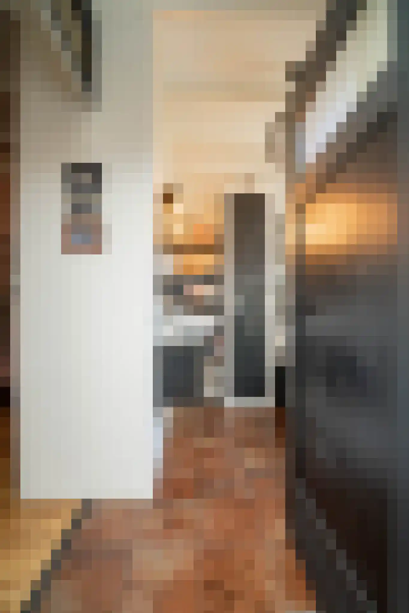 Nieuwstraat 9 Liessel thumbnail 36