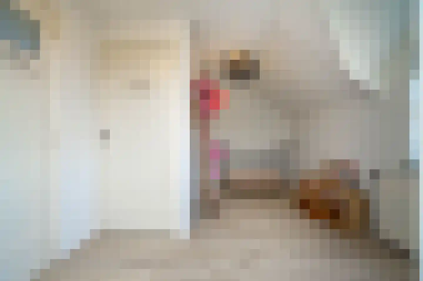 Nieuwstraat 9 Liessel thumbnail 41